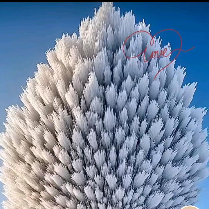 沉默