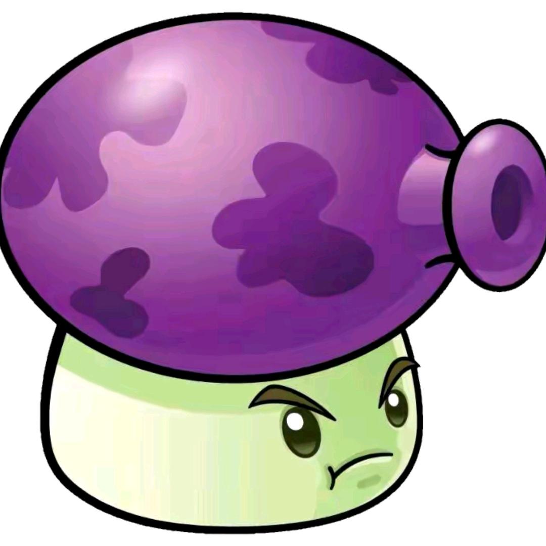 🟣 🟣 🟣 🟣 🟣 🟣