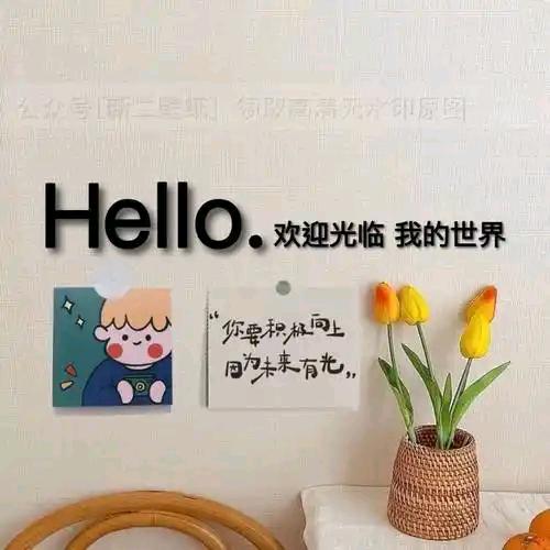壳之友
