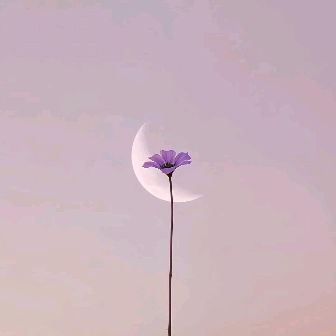 星空市集