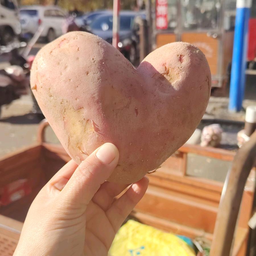 俗气