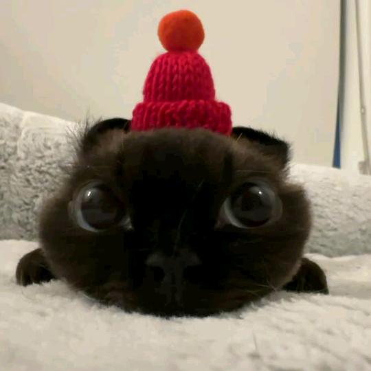 謝必安的內褲頭