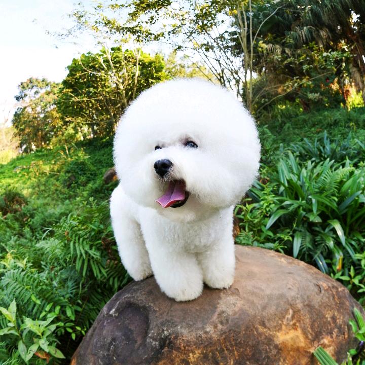 胤十三