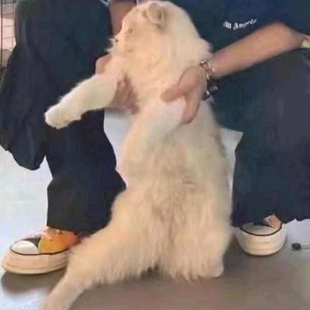 小宇