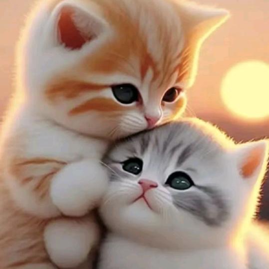 忘记过去改变自己