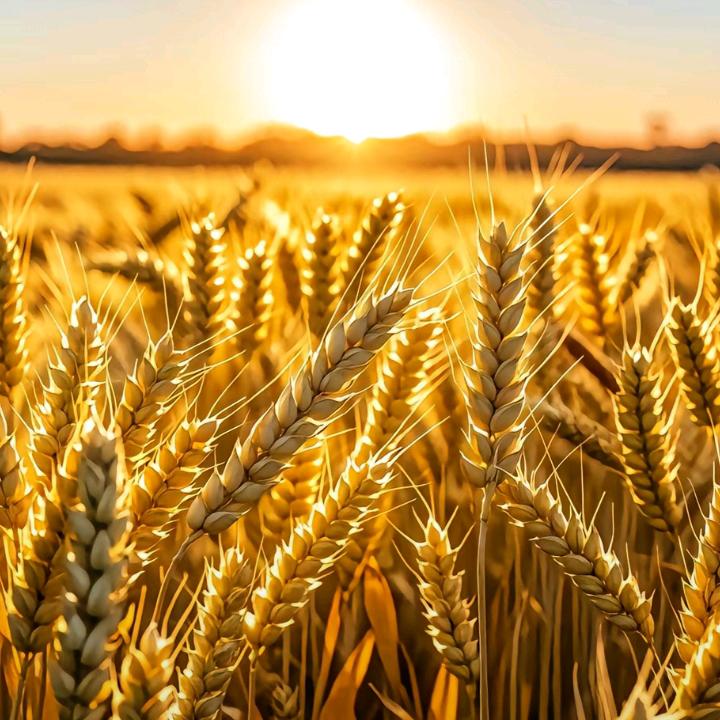 沧海一粟。（连赞取关）