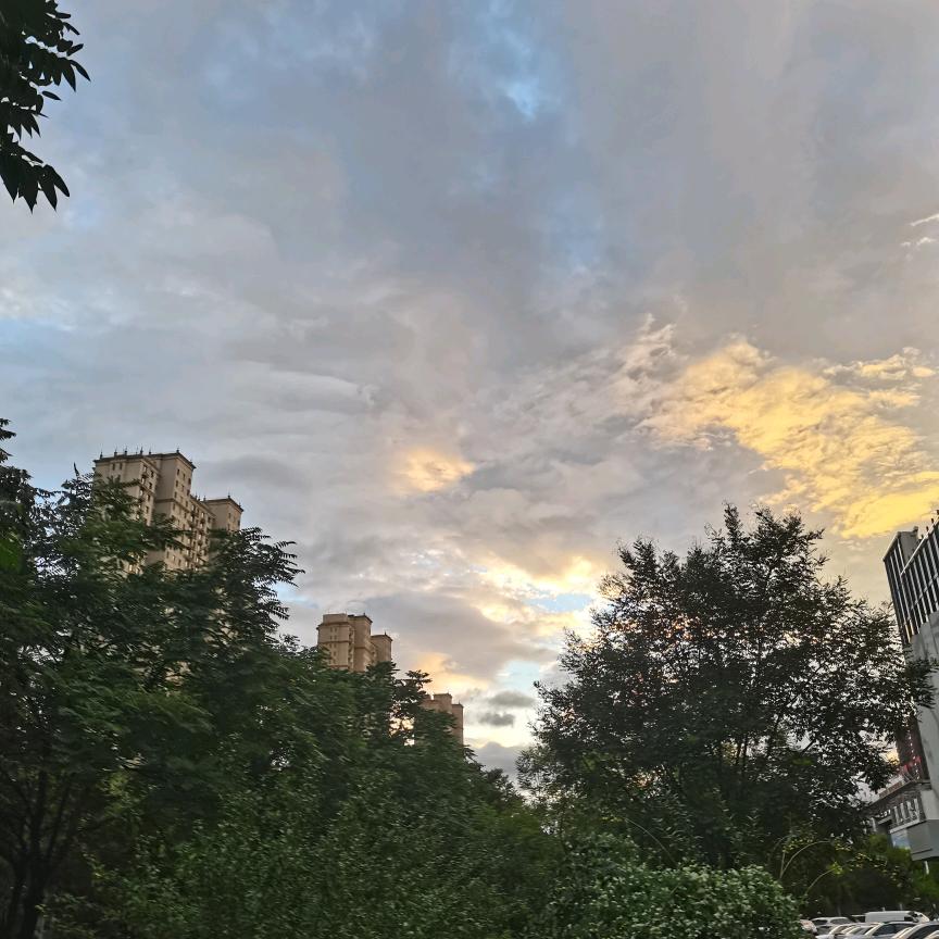 金梧桐全屋定制工厂