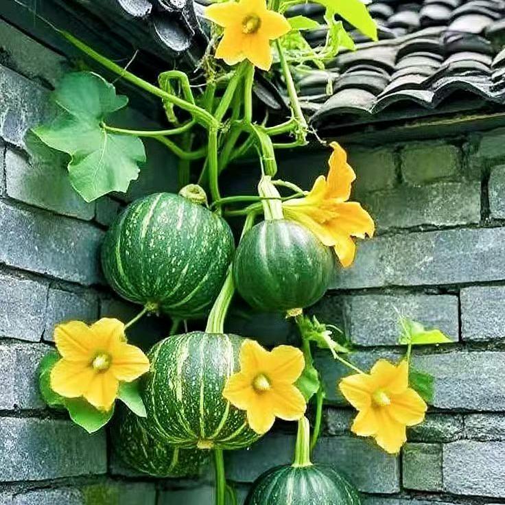 管道入财