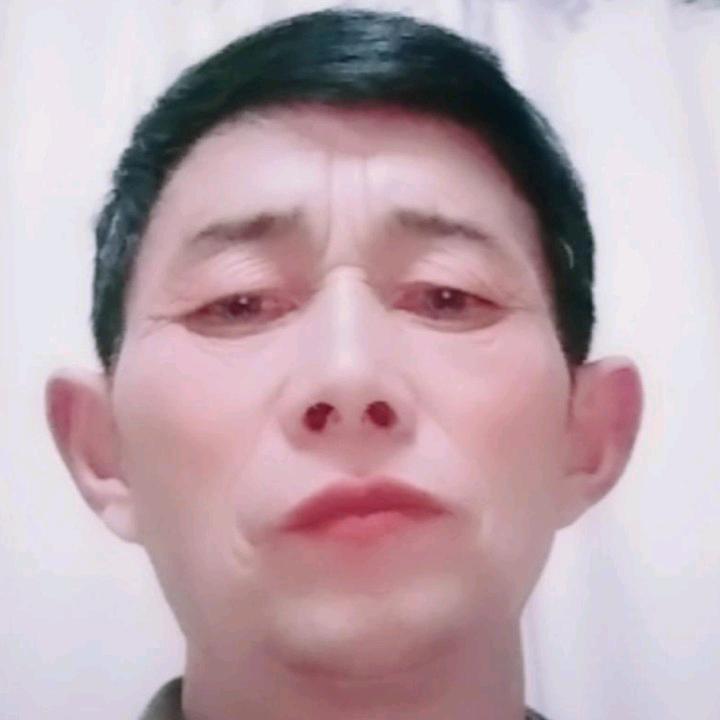四季长青