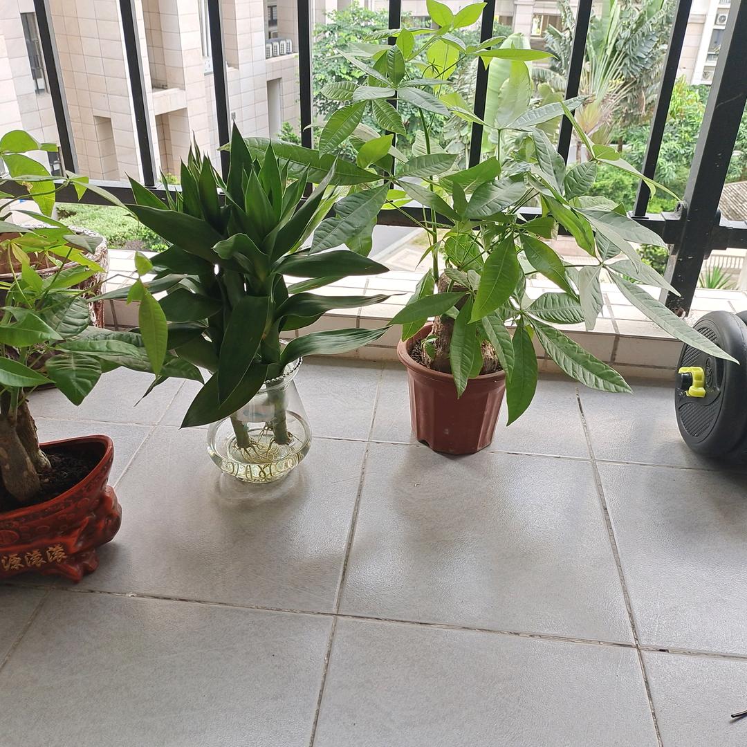 小桃优品好物