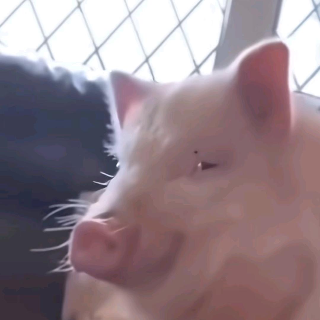 维生素
