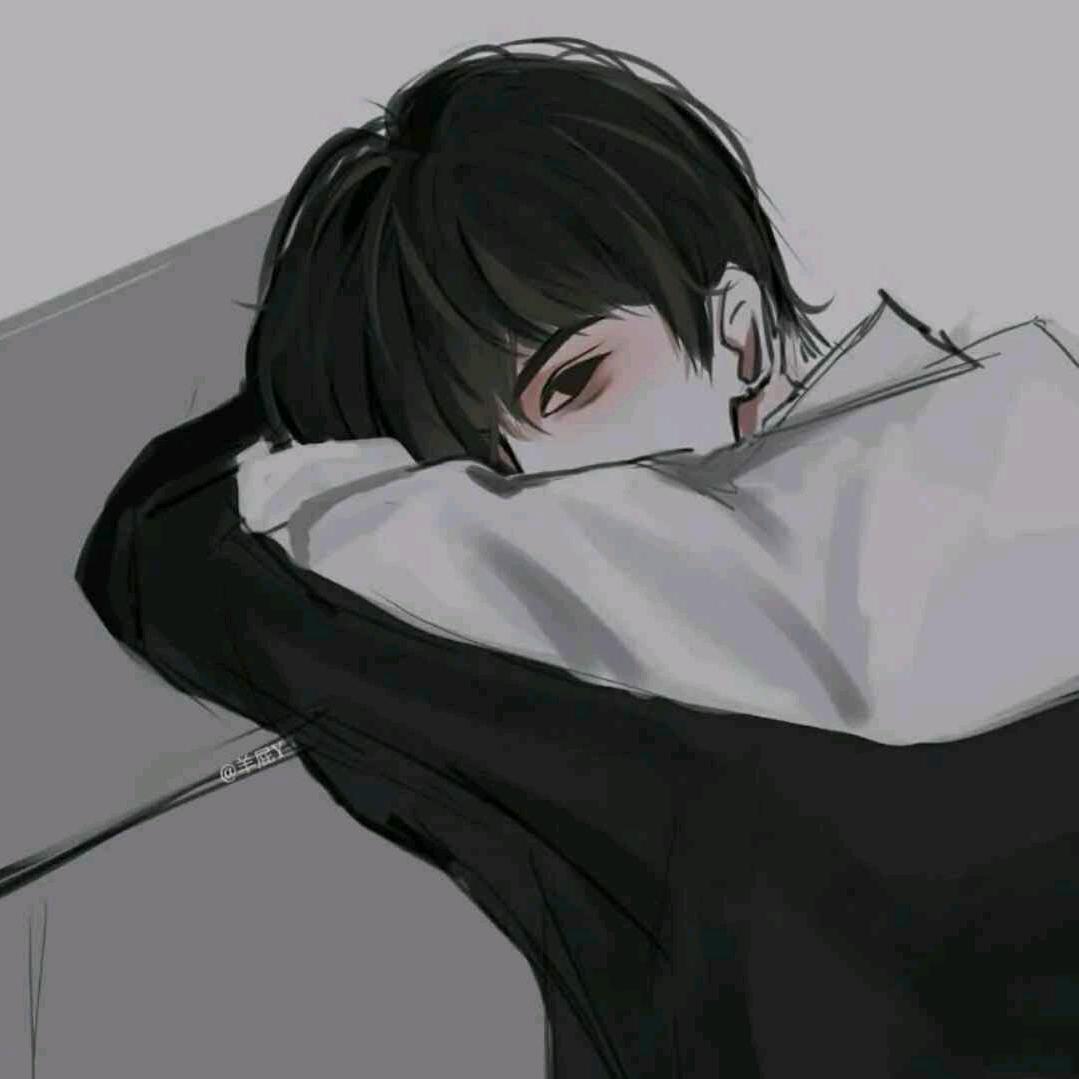 陈轲