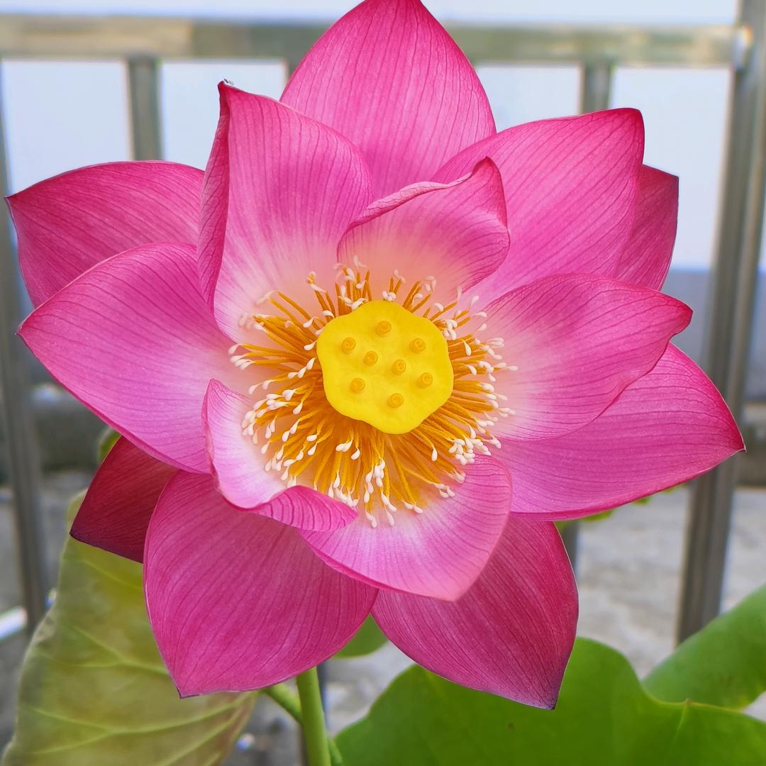 开开心心，每一天