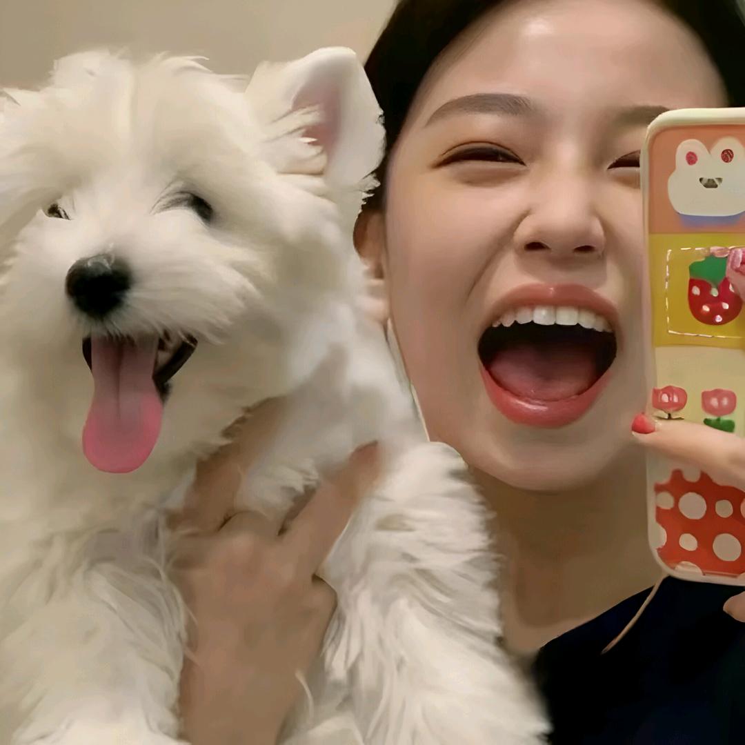 今年会暴富(发疯版)