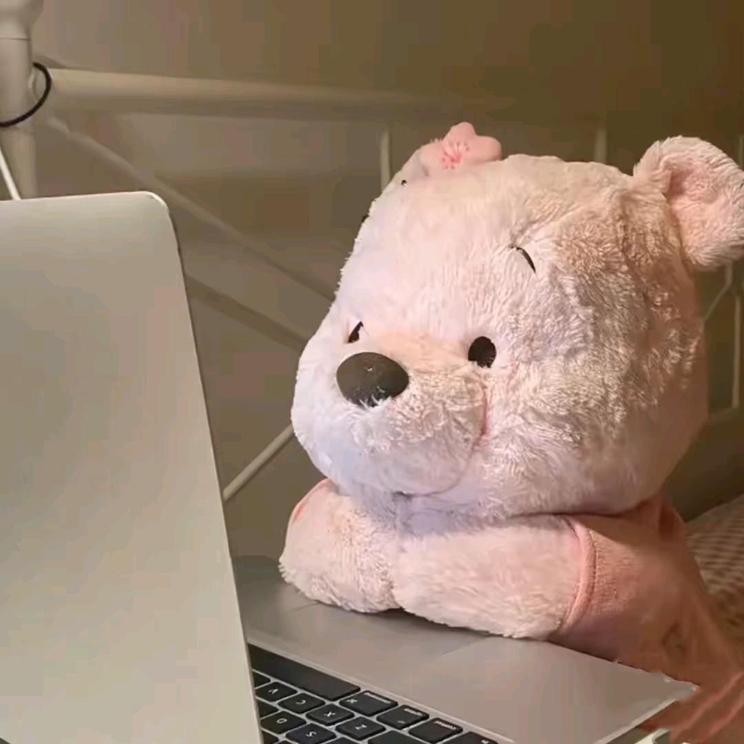 爱吃维c的小米