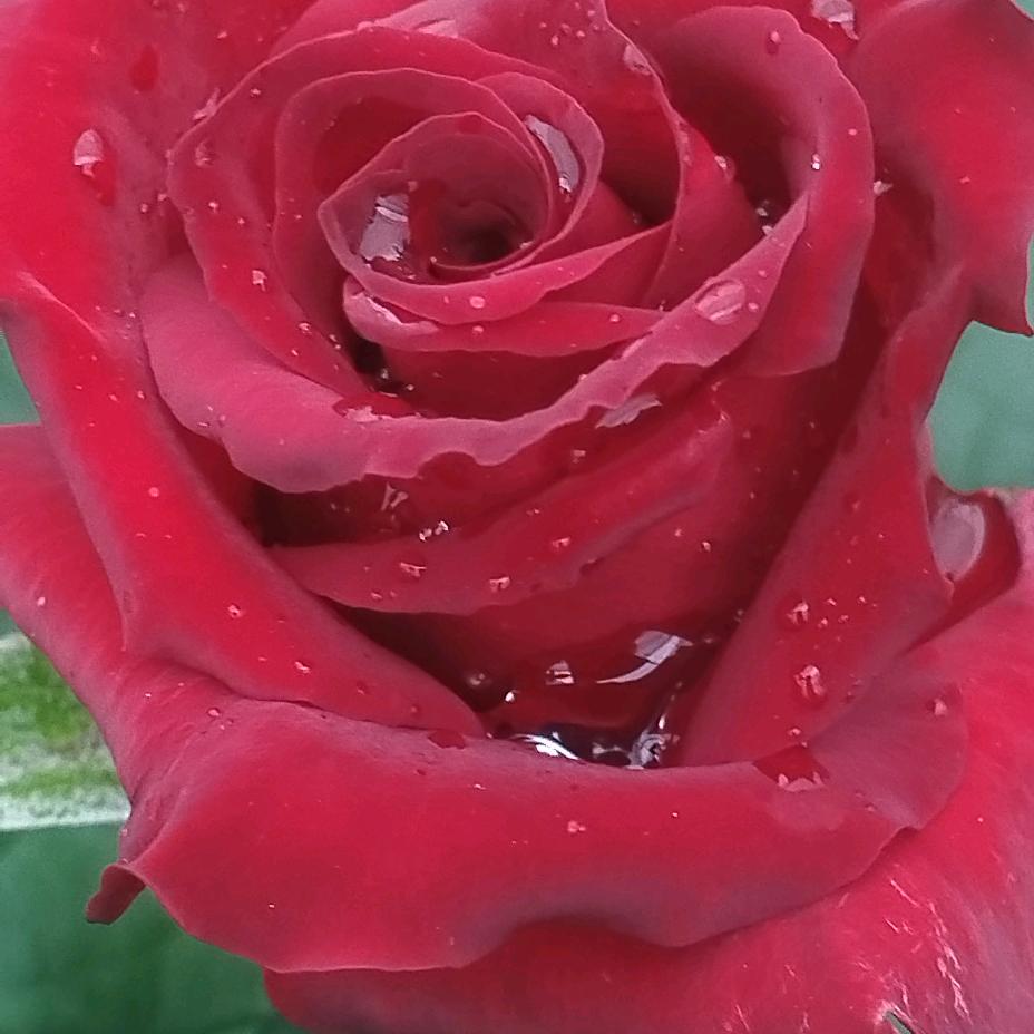 💞᭄卿⃨在᪲ཀ陈心ꦿᩚ₅₂₀