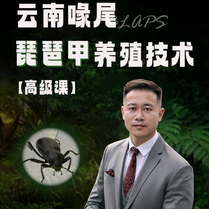 虫王杨金忠