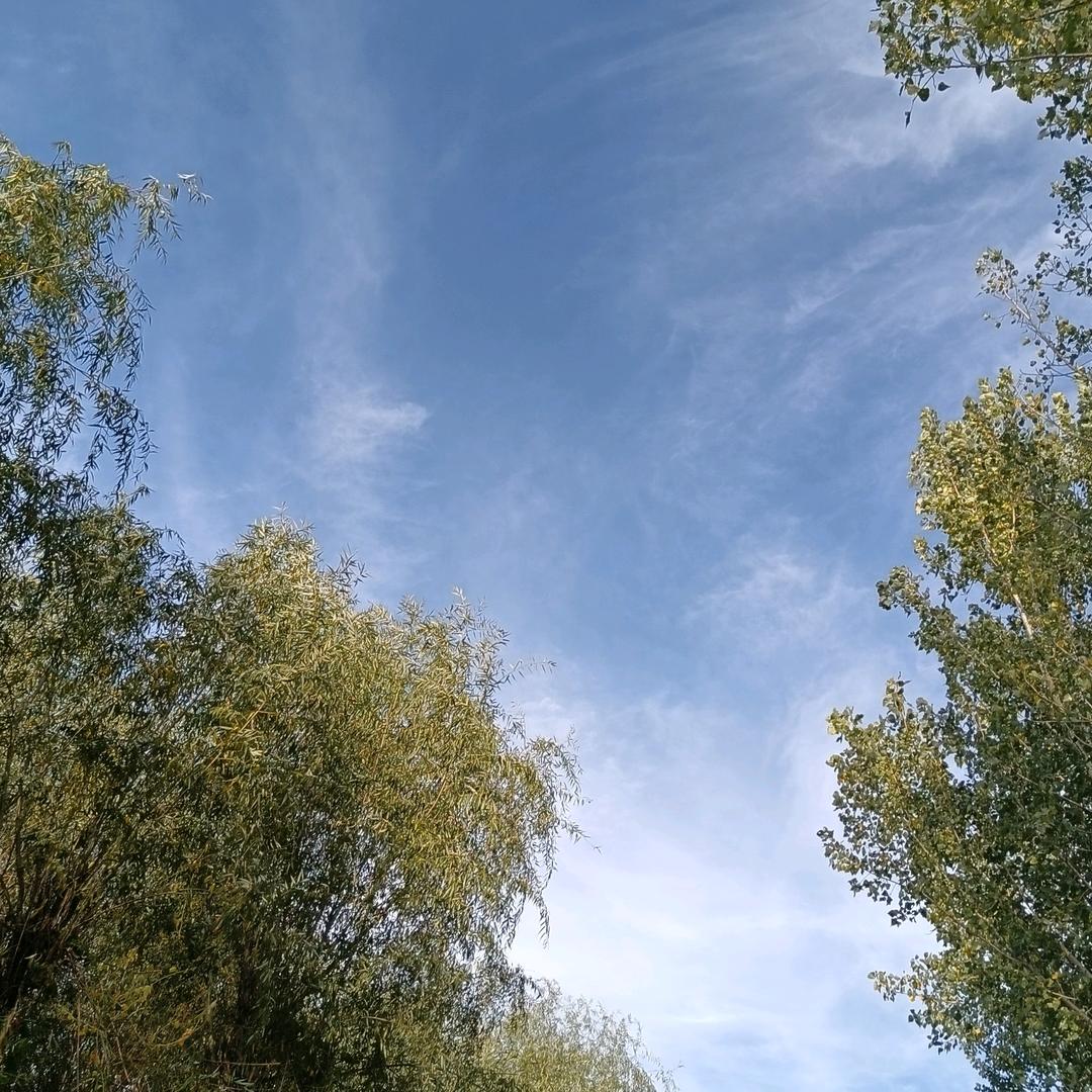 抖落眉间雪 [礼物]