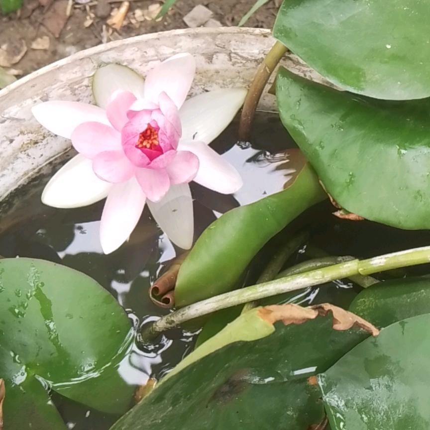 财源滚滚来～