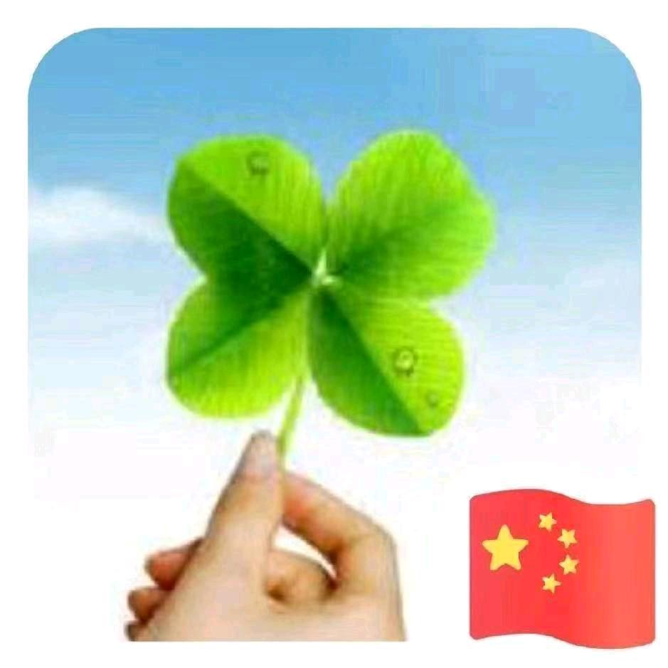 @叶子@