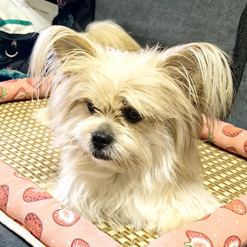 心若灵犀