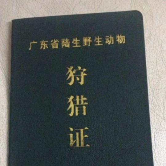 刘壹线