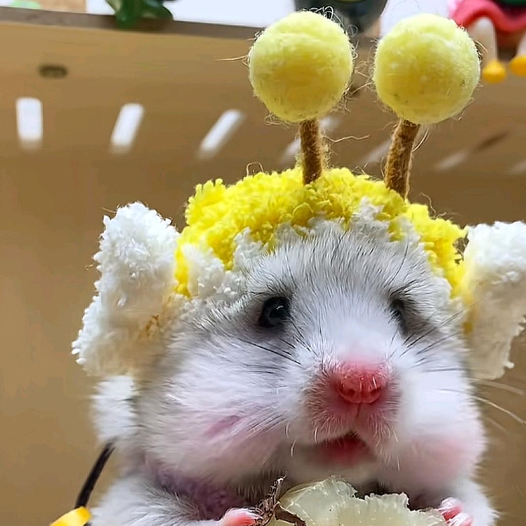 χ