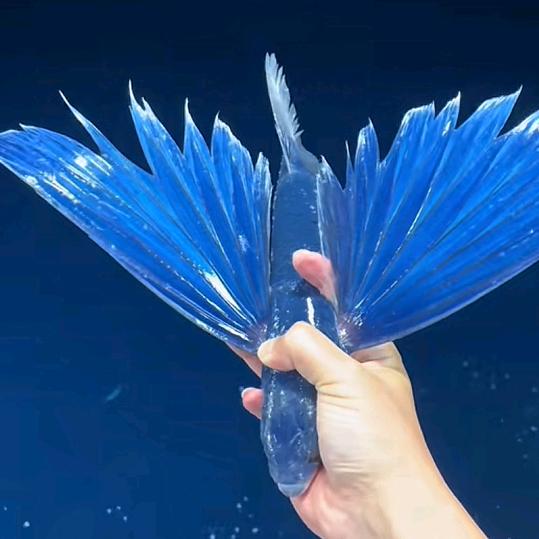 三门峡镗缸研气门（发动机精加工）