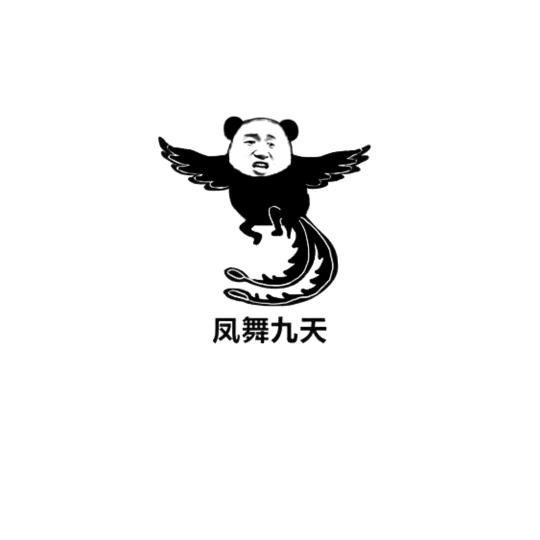 扬帆起航