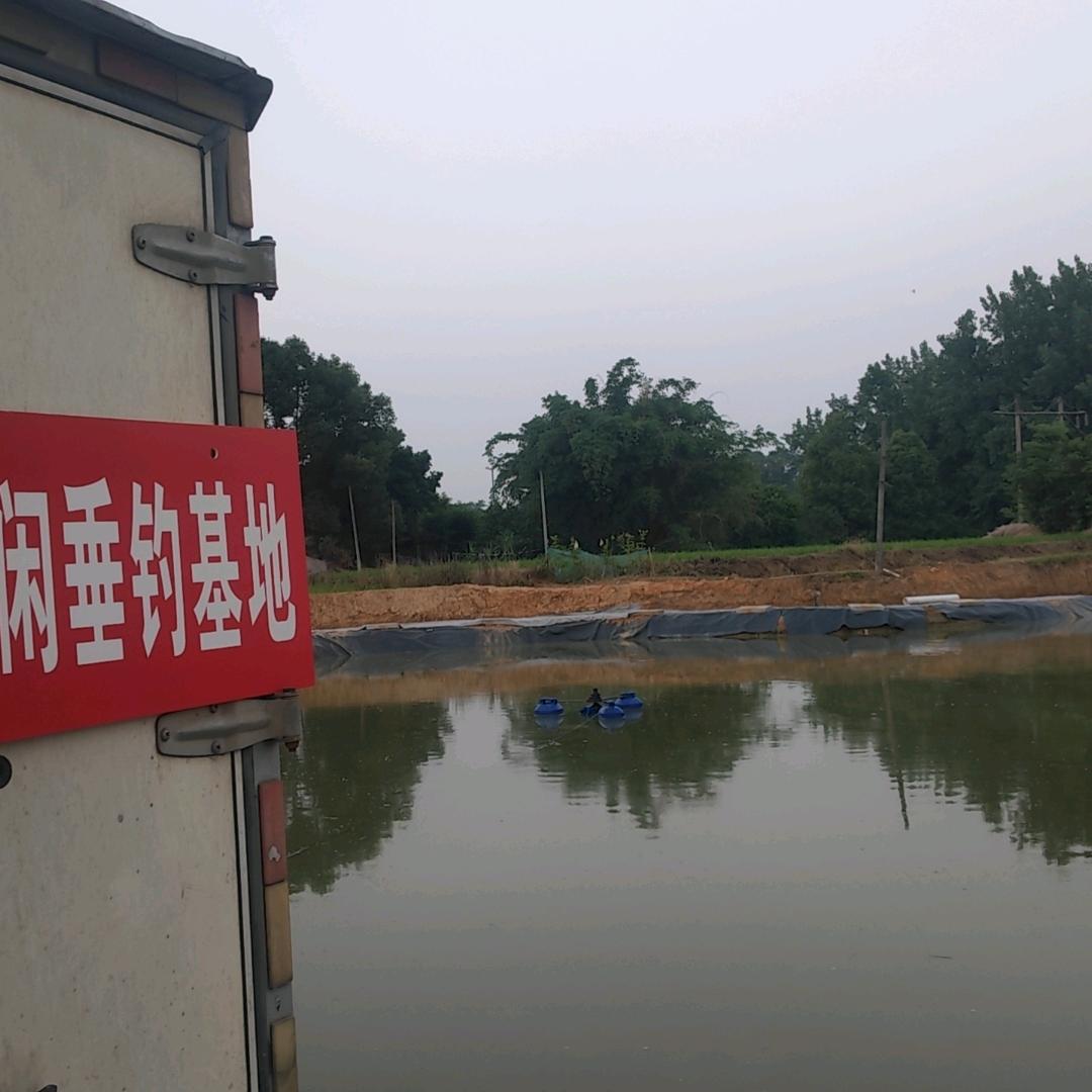 锦泓休闲垂钓基地