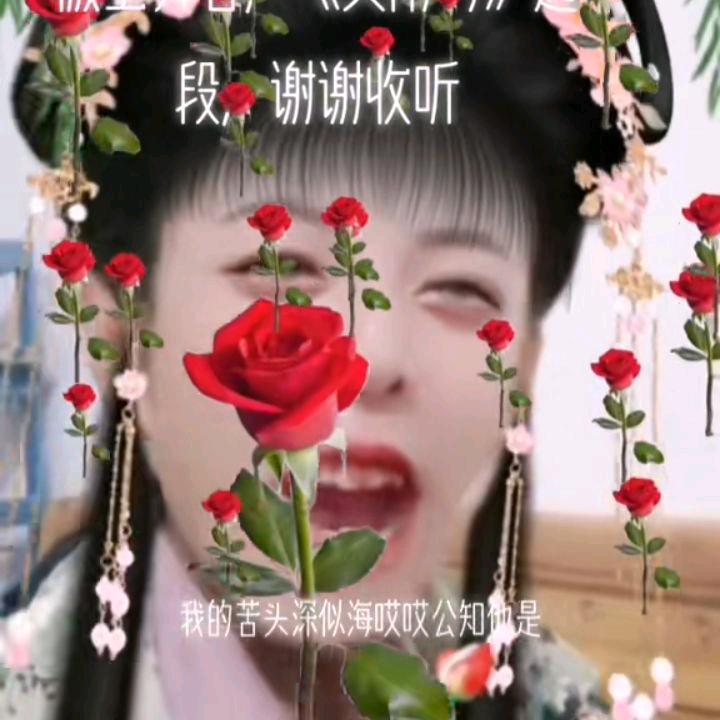 奉天独立群群主