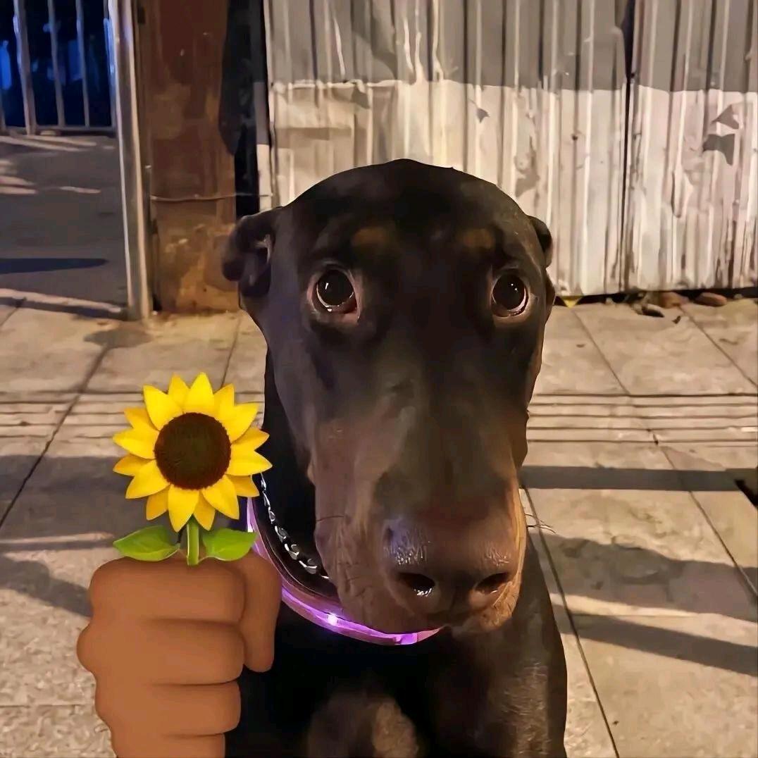 犯困不想睡