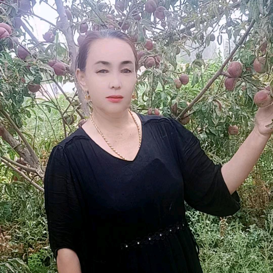 图克则·热西提