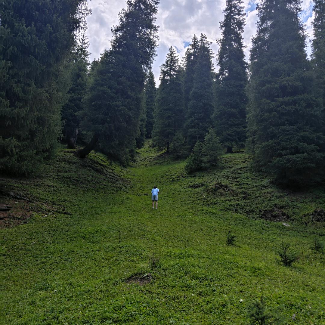 今天吃饭了吗？