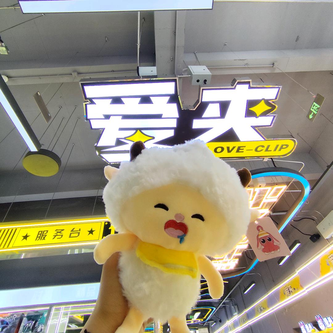 银川市兴庆区夹物潮玩玩具店（个体工商户）