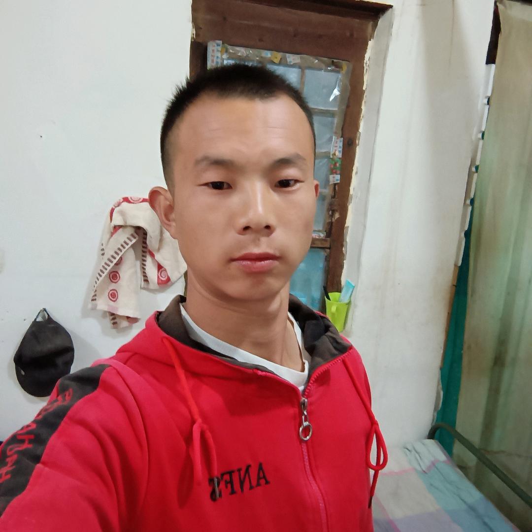 陕西虎子