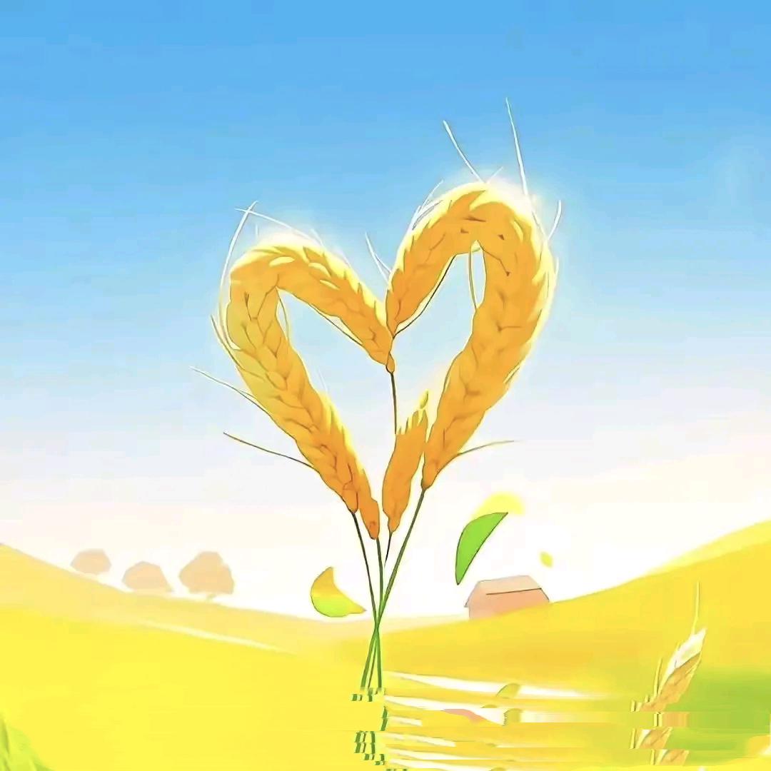 夏橙橙