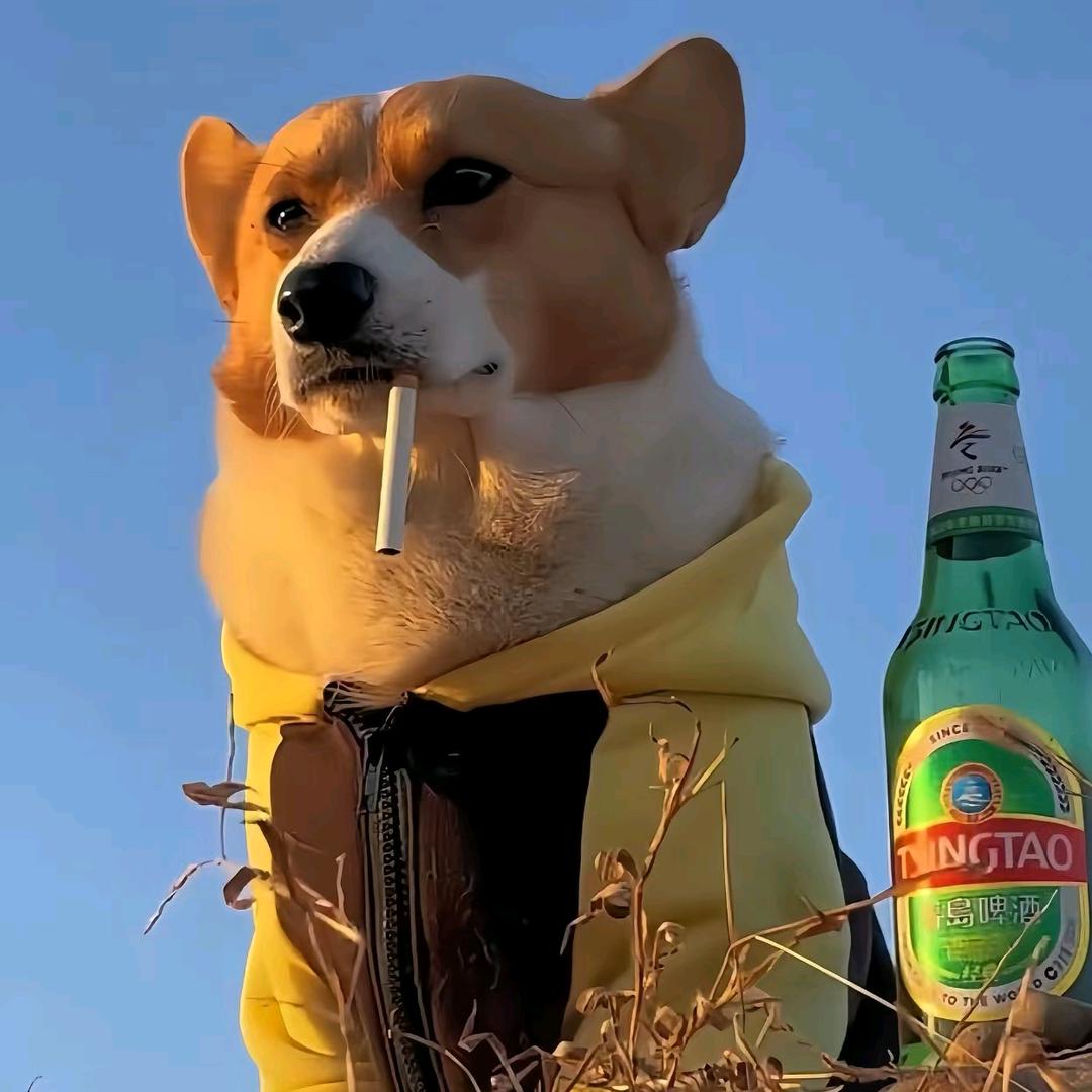 不抽烟不喝酒