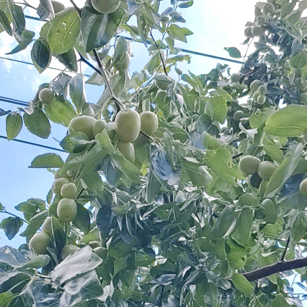 寻找幸福。