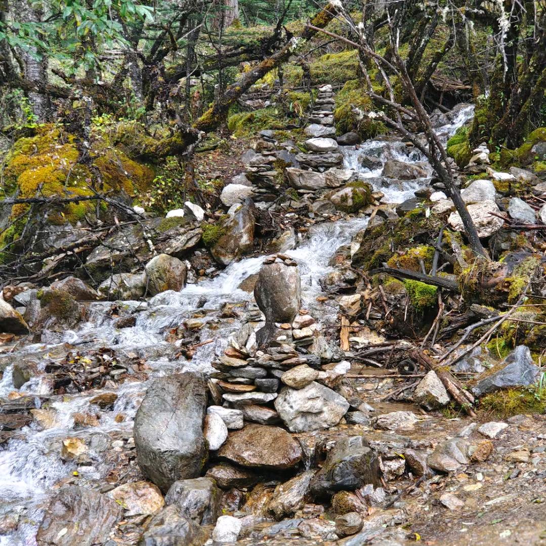 小杰生鲜严选