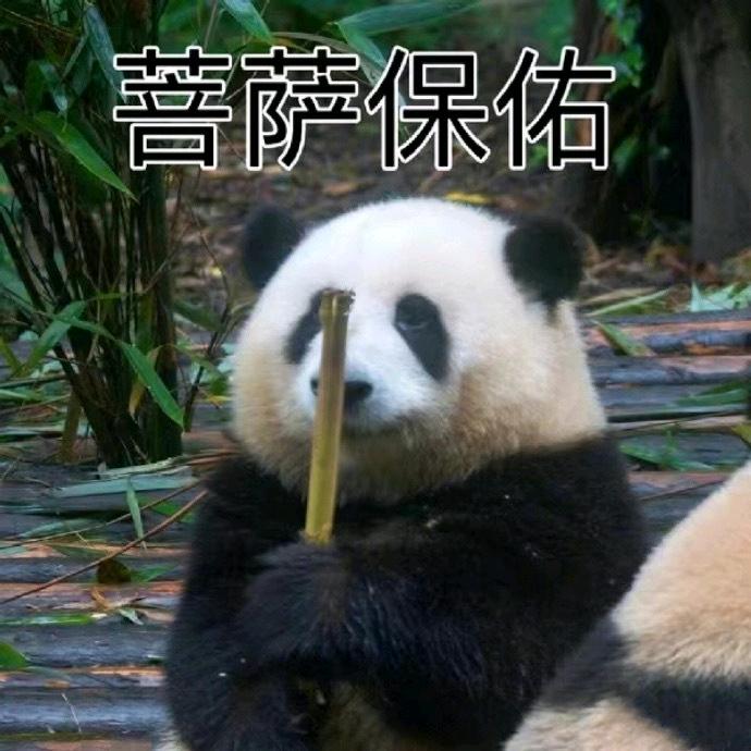 皆可呀