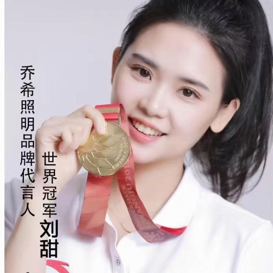 伊川乔希照明-公牛开关