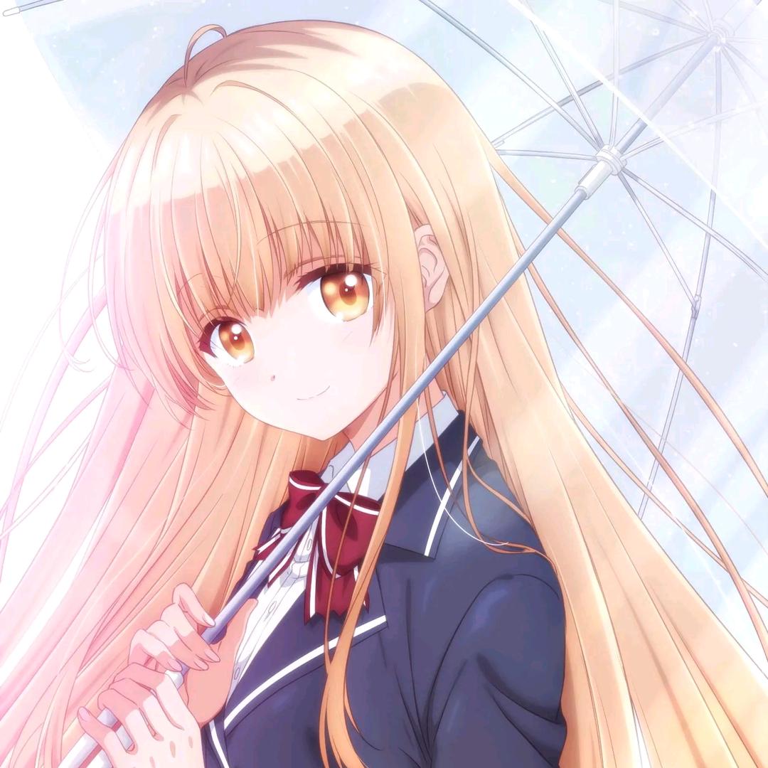 真昼NO.1