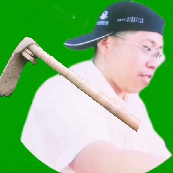 凡心.