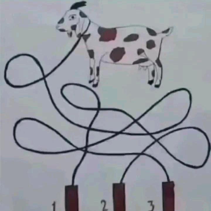 冰姆