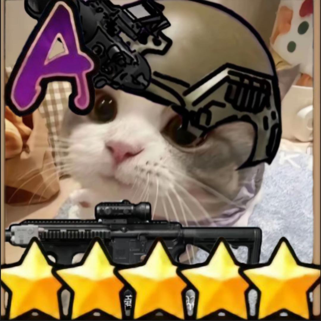 机密文件(关注我必回关)