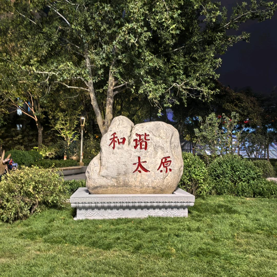 我心飞翔
