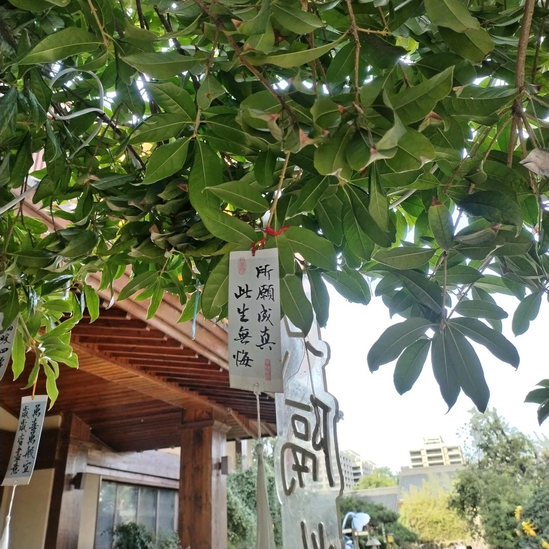 下一站