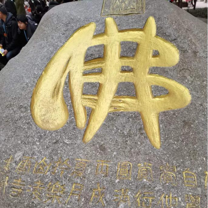 家哥6598