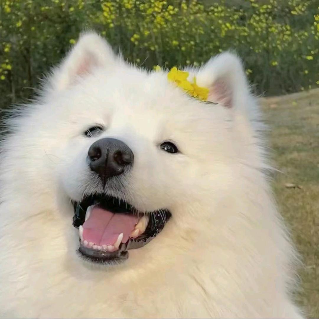 清溪落月诗如雨